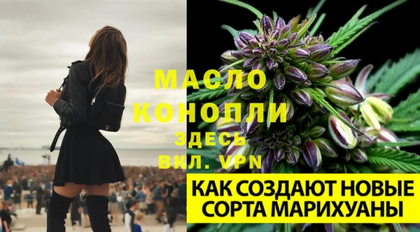 СК Козельск